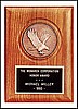 Eagle Casting Plaque (5"x7")